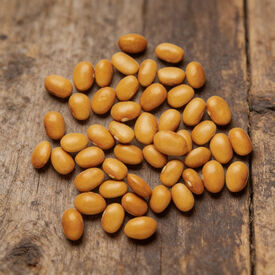 Amarillo, Bean Seeds